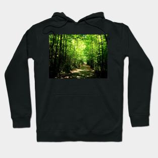 Yarrangobilly Path Hoodie